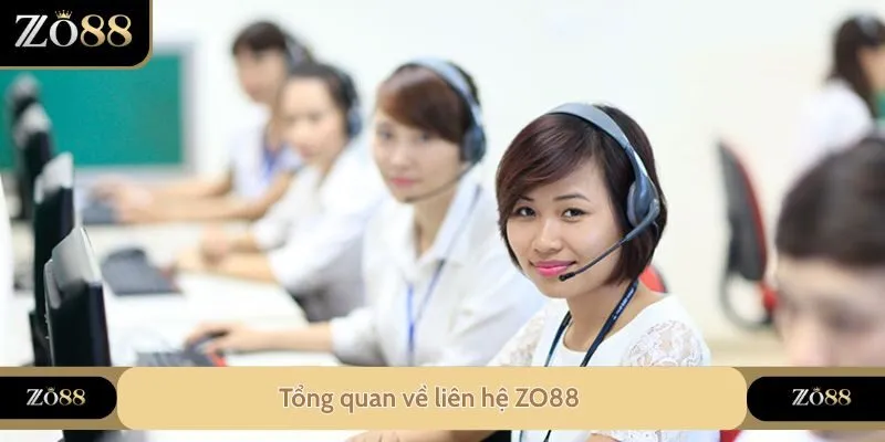 Tổng quan về liên hệ ZO88